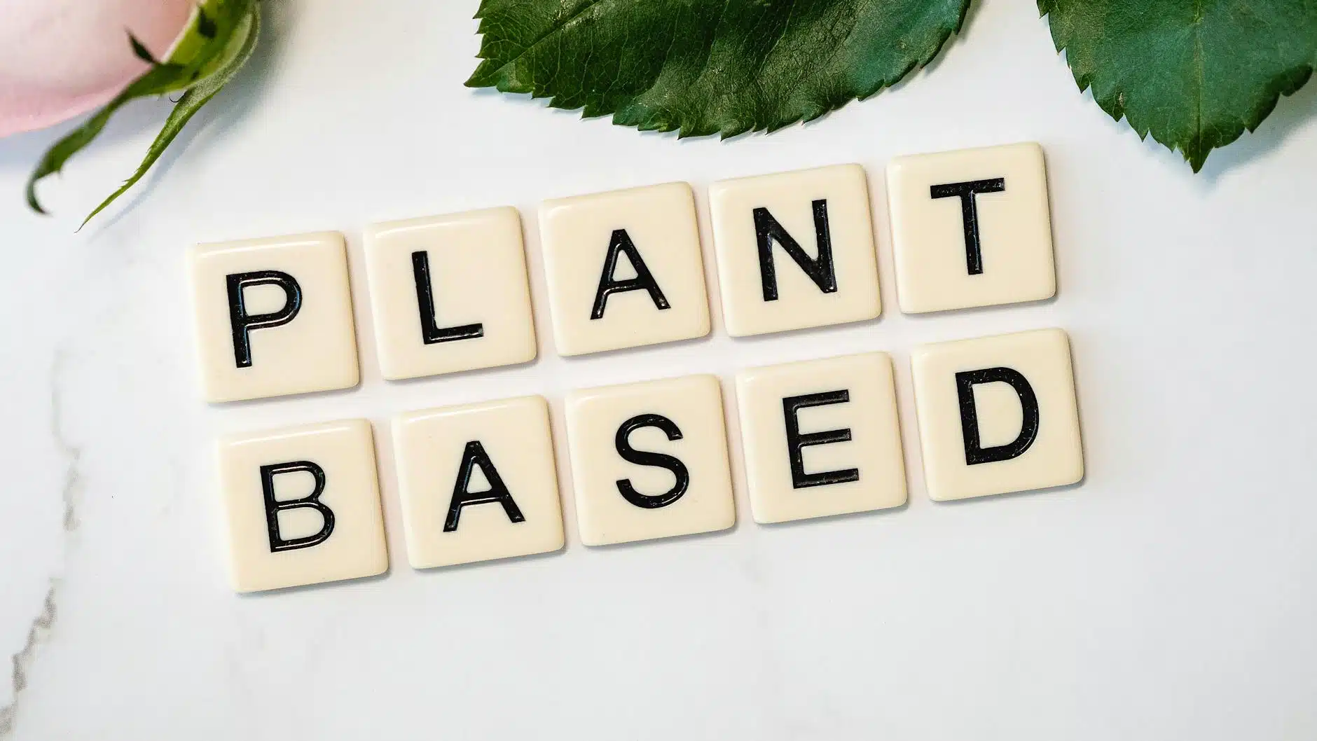 Plant-Based Diet for Beginners: What to Eat and What to Avoid