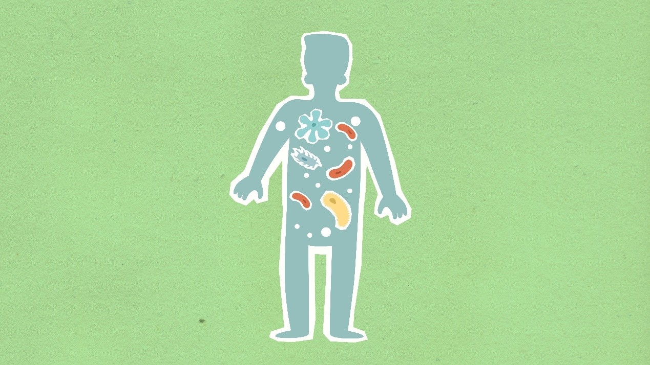 The Gut-Healthy Diet: Foods That Feed Your Microbiome