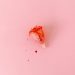 Menstrual Cycle Health Nutrition: Optimize Your Cycle in 2026