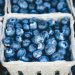 Blue Zones Diet Longevity: What Centenarians Eat in 2026