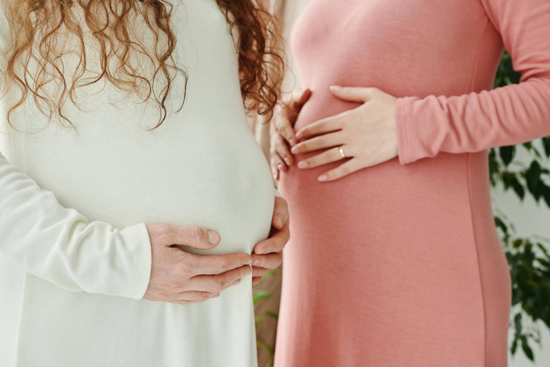 Pregnancy and Postpartum Wellness Guide: Nutrition & Recovery
