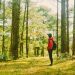 forest bathing shinrin yoku 30984694
