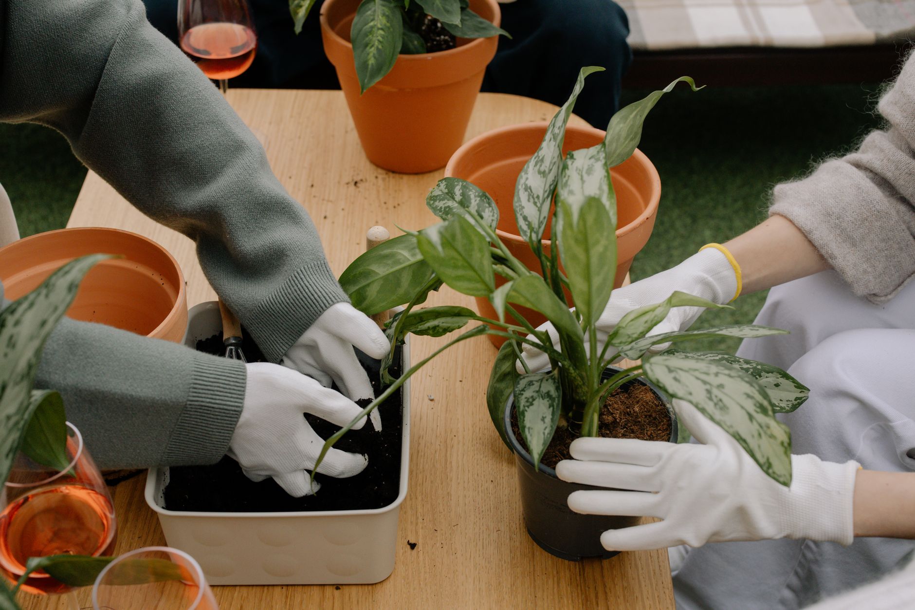 Health Benefits of Gardening: Why Getting Your Hands Dirty Is Good for You