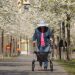 Nordic Walking Guide: Burn More Calories Than Regular Walking