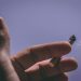 Smoking and Lung Cancer Screening: Guidelines & Early Detection